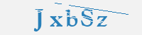 보안문자